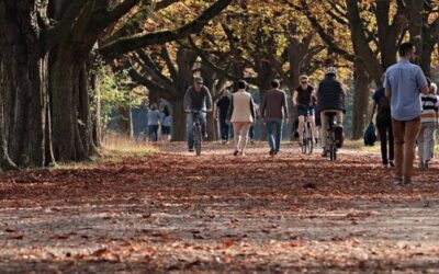 Top 7 Benefits of Sahaja Yoga Meditation for Mind and Body